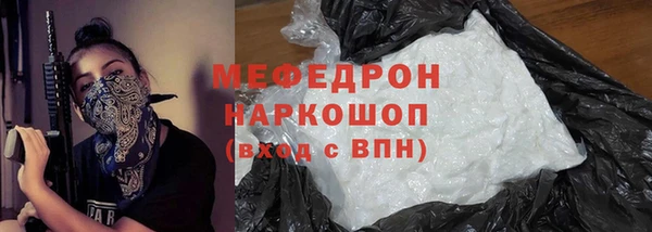 прущие грибы Богданович