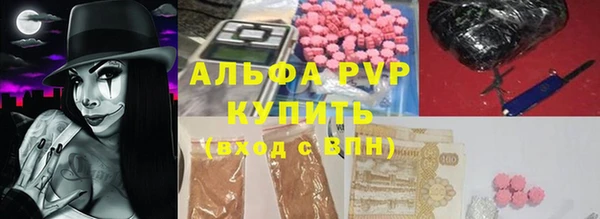 прущие грибы Богданович