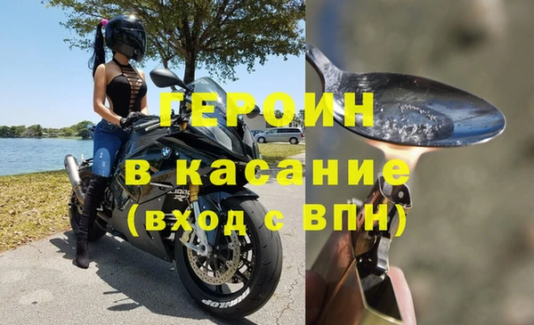 прущие грибы Богданович