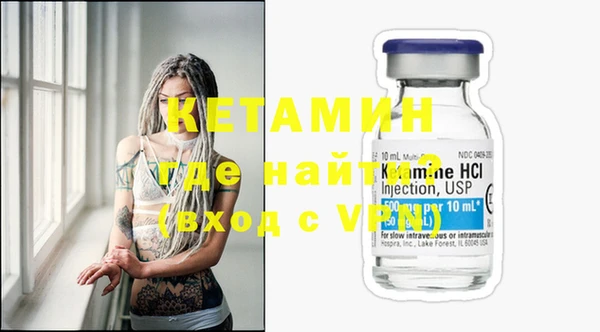 шишки Богородицк
