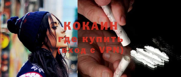 шишки Богородицк