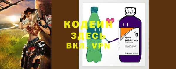 шишки Богородицк