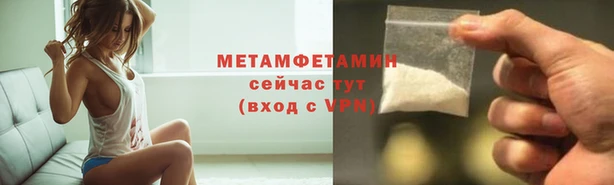 прущие грибы Богданович