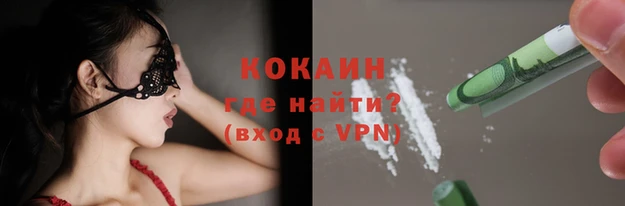 прущие грибы Богданович