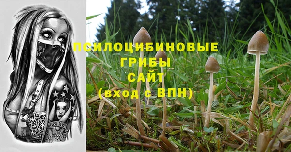 спиды Богородск