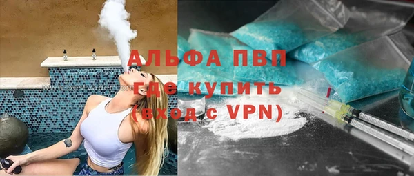 прущие грибы Богданович