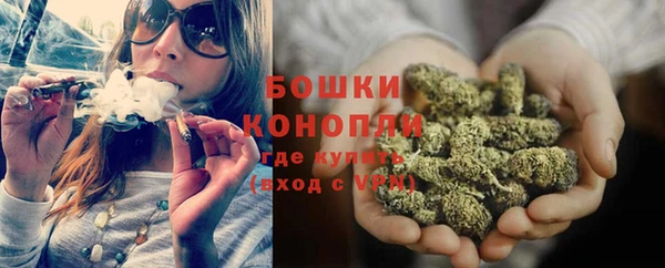 прущие грибы Богданович