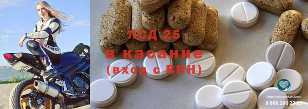 прущие грибы Богданович