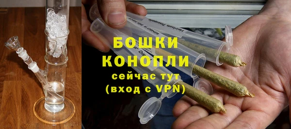 спиды Богородск