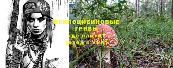прущие грибы Богданович