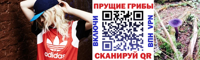Псилоцибиновые грибы ЛСД  Томск 